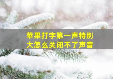 苹果打字第一声特别大怎么关闭不了声音