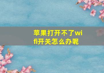 苹果打开不了wifi开关怎么办呢