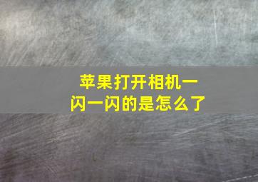 苹果打开相机一闪一闪的是怎么了