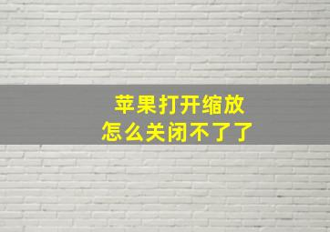 苹果打开缩放怎么关闭不了了