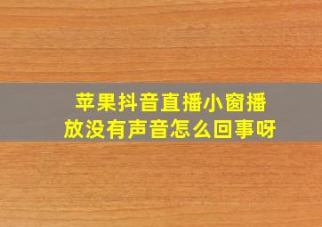 苹果抖音直播小窗播放没有声音怎么回事呀