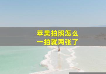 苹果拍照怎么一拍就两张了