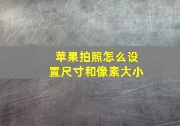 苹果拍照怎么设置尺寸和像素大小