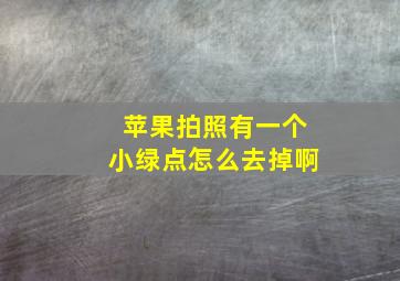 苹果拍照有一个小绿点怎么去掉啊