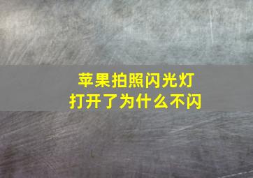 苹果拍照闪光灯打开了为什么不闪