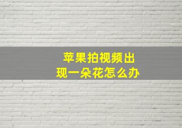 苹果拍视频出现一朵花怎么办