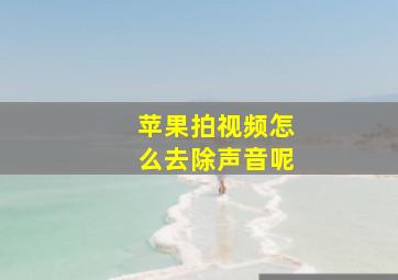 苹果拍视频怎么去除声音呢