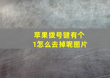 苹果拨号键有个1怎么去掉呢图片