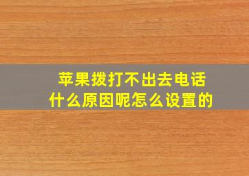 苹果拨打不出去电话什么原因呢怎么设置的