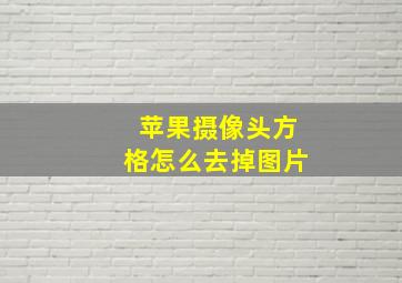 苹果摄像头方格怎么去掉图片