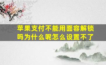 苹果支付不能用面容解锁吗为什么呢怎么设置不了