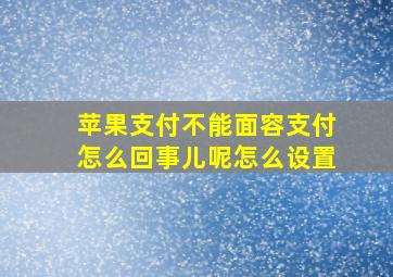 苹果支付不能面容支付怎么回事儿呢怎么设置