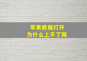 苹果数据打开为什么上不了网