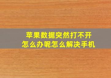 苹果数据突然打不开怎么办呢怎么解决手机