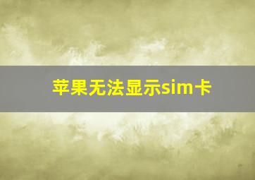 苹果无法显示sim卡