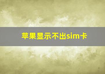 苹果显示不出sim卡