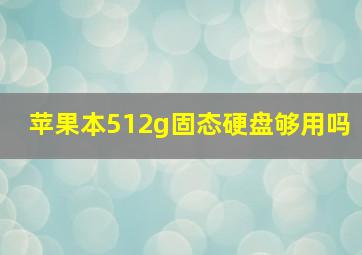 苹果本512g固态硬盘够用吗