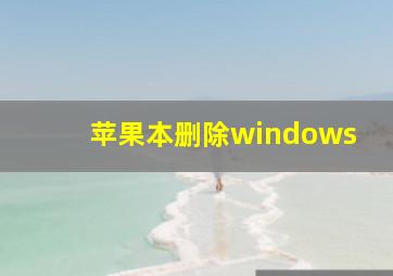 苹果本删除windows