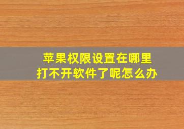 苹果权限设置在哪里打不开软件了呢怎么办