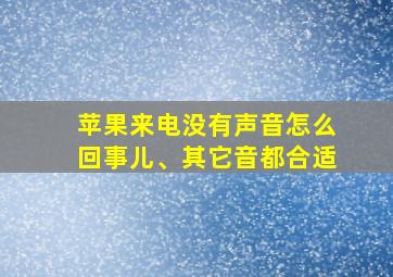 苹果来电没有声音怎么回事儿、其它音都合适