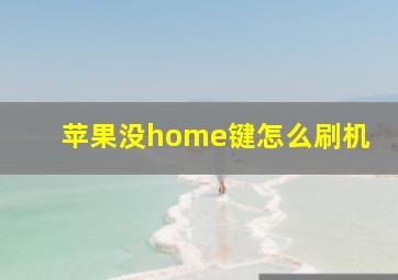 苹果没home键怎么刷机