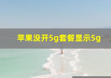 苹果没开5g套餐显示5g