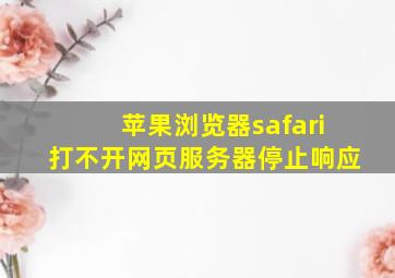 苹果浏览器safari打不开网页服务器停止响应