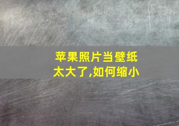 苹果照片当壁纸太大了,如何缩小