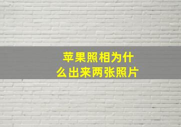 苹果照相为什么出来两张照片