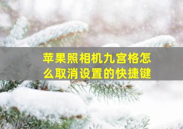 苹果照相机九宫格怎么取消设置的快捷键