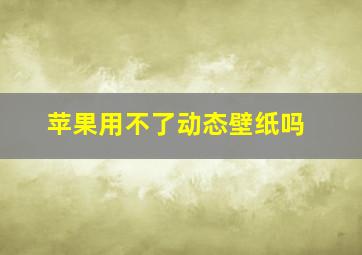 苹果用不了动态壁纸吗