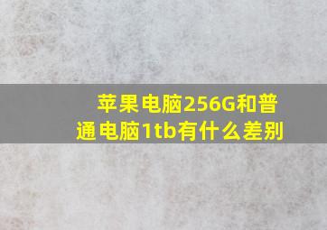 苹果电脑256G和普通电脑1tb有什么差别