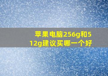 苹果电脑256g和512g建议买哪一个好