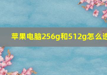 苹果电脑256g和512g怎么选