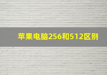 苹果电脑256和512区别