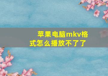 苹果电脑mkv格式怎么播放不了了