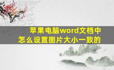 苹果电脑word文档中怎么设置图片大小一致的