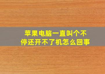 苹果电脑一直叫个不停还开不了机怎么回事