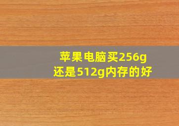 苹果电脑买256g还是512g内存的好