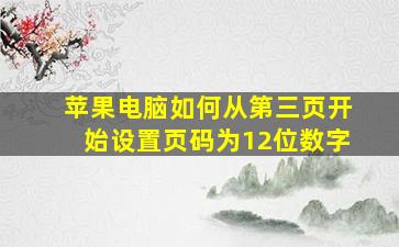 苹果电脑如何从第三页开始设置页码为12位数字