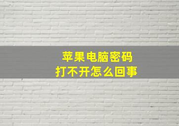 苹果电脑密码打不开怎么回事