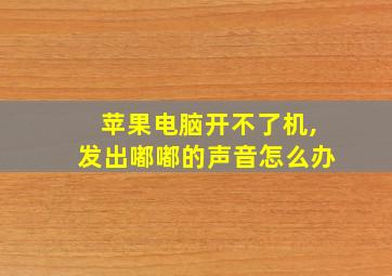 苹果电脑开不了机,发出嘟嘟的声音怎么办