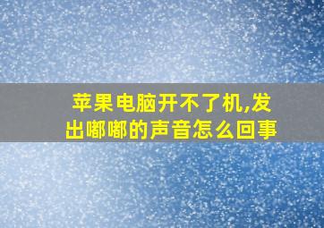 苹果电脑开不了机,发出嘟嘟的声音怎么回事