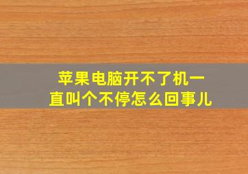 苹果电脑开不了机一直叫个不停怎么回事儿