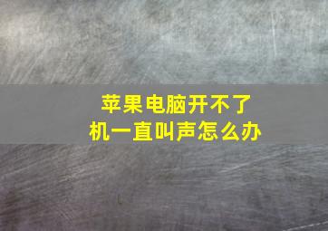 苹果电脑开不了机一直叫声怎么办