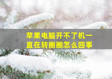 苹果电脑开不了机一直在转圈圈怎么回事