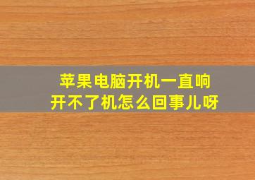 苹果电脑开机一直响开不了机怎么回事儿呀