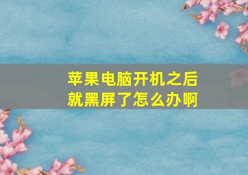 苹果电脑开机之后就黑屏了怎么办啊