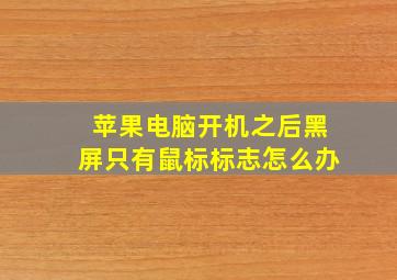 苹果电脑开机之后黑屏只有鼠标标志怎么办