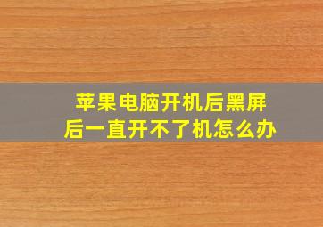 苹果电脑开机后黑屏后一直开不了机怎么办